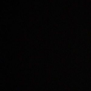 Meet your Posher, Daryl